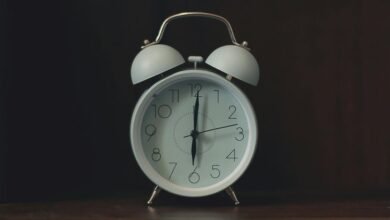 eel behavior at morning