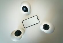 fraud monitoring hotline numbers