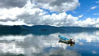 explore earning opportunities online